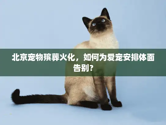 北京宠物殡葬火化,如何为爱宠安排体面告别? 北京宠物殡葬火化,如何为爱宠安排体面告别?