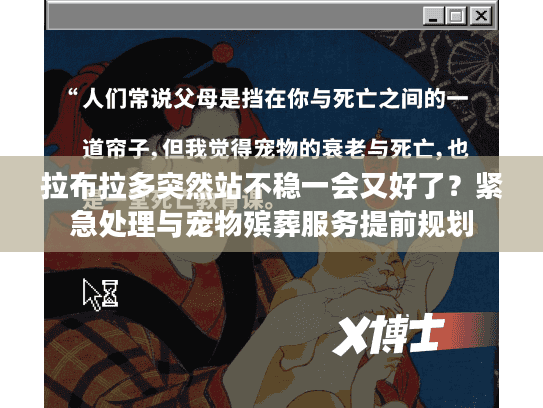 拉布拉多突然站不稳一会又好了？紧急处理与宠物殡葬服务提前规划