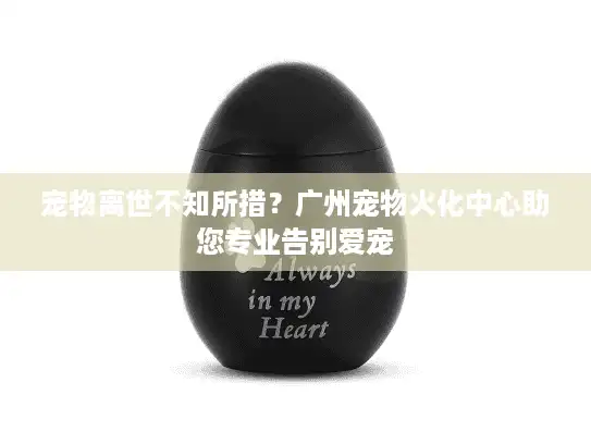 宠物离世不知所措？广州宠物火化中心助您专业告别爱宠