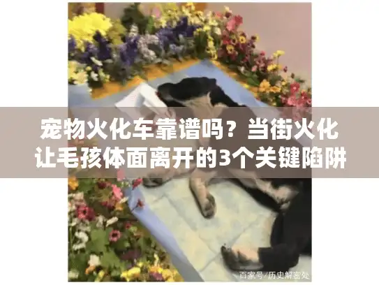 宠物火化车靠谱吗？当街火化让毛孩体面离开的3个关键陷阱