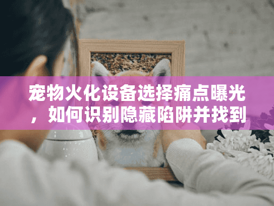 宠物火化设备选择痛点曝光，如何识别隐藏陷阱并找到安心方案？