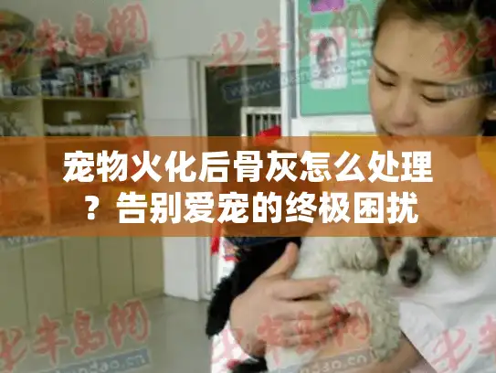 宠物火化后骨灰怎么处理？告别爱宠的终极困扰