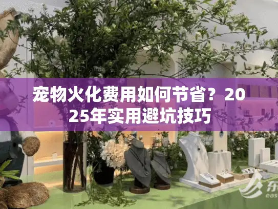 宠物火化费用如何节省?2025年实用避坑技巧 宠物火化费用如何节省?2025年实用避坑技巧