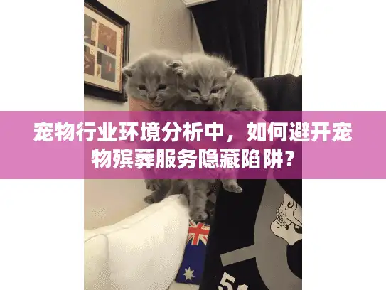 宠物行业环境分析中，如何避开宠物殡葬服务隐藏陷阱？