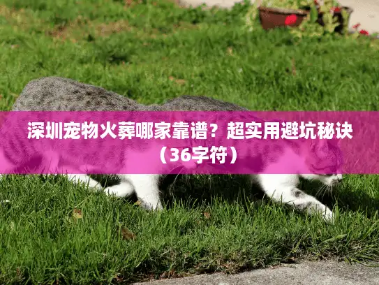 深圳宠物火葬哪家靠谱？超实用避坑秘诀（36字符）