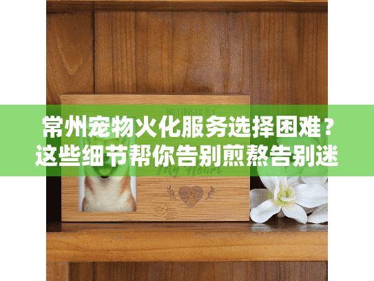 常州宠物火化服务选择困难？这些细节帮你告别煎熬告别迷茫