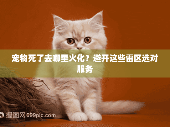 宠物死了去哪里火化？避开这些雷区选对服务