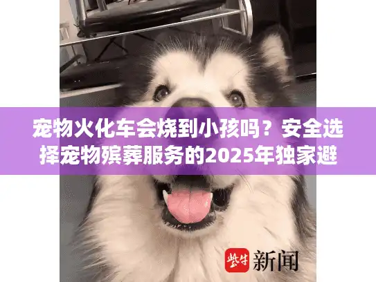 宠物火化车会烧到小孩吗？安全选择宠物殡葬服务的2025年独家避坑法