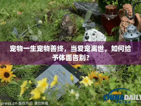 宠物一生宠物善终,当爱宠离世,如何给予体面告别? 宠物一生宠物善终,当爱宠离世,如何给予体面告别?
