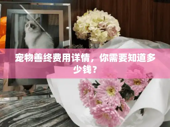 宠物善终费用详情，你需要知道多少钱？