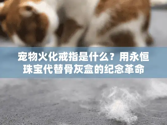 宠物火化戒指是什么?用永恒珠宝代替骨灰盒的纪念革命 宠物火化戒指是什么?用永恒珠宝代替骨灰盒的纪念革命