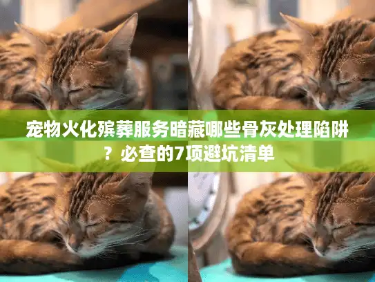 宠物火化殡葬服务暗藏哪些骨灰处理陷阱?必查的7项避坑清单 宠物火化殡葬服务暗藏哪些骨灰处理陷阱?必查的7项避坑清单