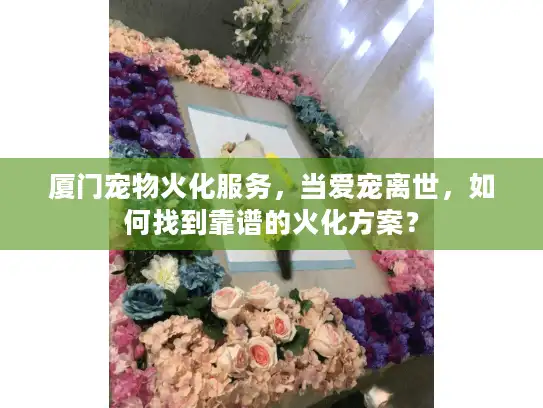 厦门宠物火化服务,当爱宠离世,如何找到靠谱的火化方案? 厦门宠物火化服务,当爱宠离世,如何找到靠谱的火化方案?