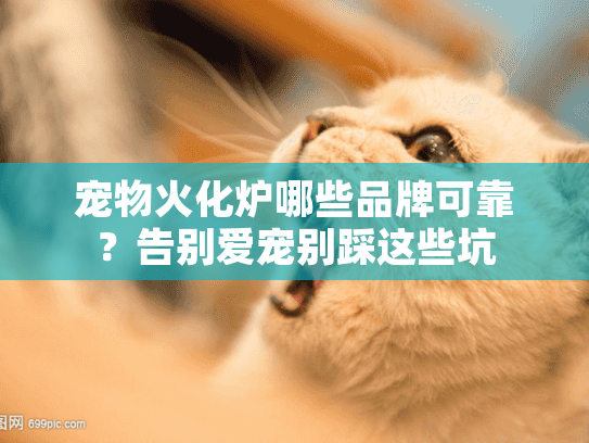 宠物火化炉哪些品牌可靠?告别爱宠别踩这些坑 宠物火化炉哪些品牌可靠?告别爱宠别踩这些坑