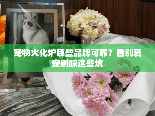 宠物火化炉哪些品牌可靠?告别爱宠别踩这些坑 宠物火化炉哪些品牌可靠?告别爱宠别踩这些坑