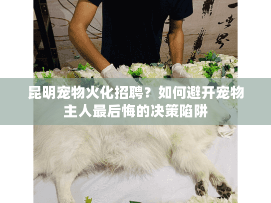 昆明宠物火化招聘?如何避开宠物主人最后悔的决策陷阱 昆明宠物火化招聘?如何避开宠物主人最后悔的决策陷阱