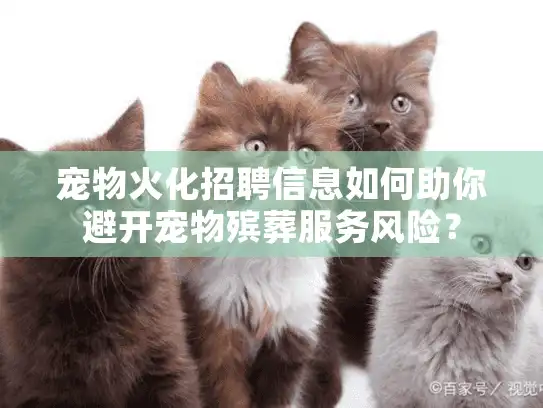 宠物火化招聘信息如何助你避开宠物殡葬服务风险？