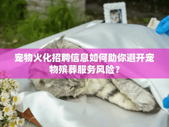 宠物火化招聘信息如何助你避开宠物殡葬服务风险？