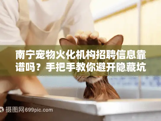 南宁宠物火化机构招聘信息靠谱吗?手把手教你避开隐藏坑点 南宁宠物火化机构招聘信息靠谱吗?手把手教你避开隐藏坑点