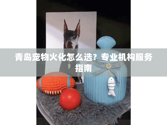 青岛宠物火化怎么选？专业机构服务指南