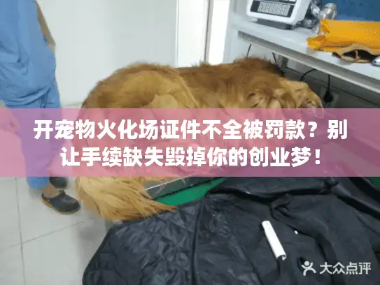 开宠物火化场证件不全被罚款？别让手续缺失毁掉你的创业梦！