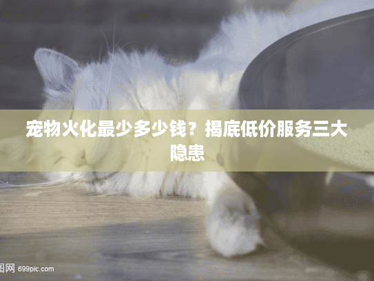宠物火化最少多少钱？揭底低价服务三大隐患