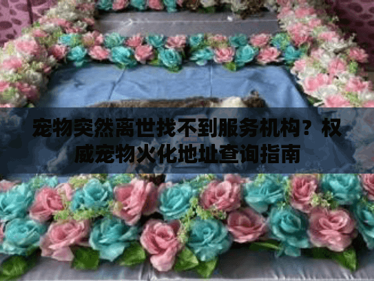 宠物突然离世找不到服务机构?权威宠物火化地址查询指南 宠物突然离世找不到服务机构?权威宠物火化地址查询指南