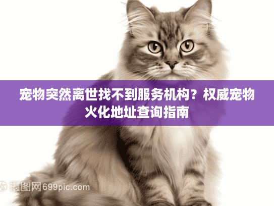 宠物突然离世找不到服务机构?权威宠物火化地址查询指南 宠物突然离世找不到服务机构?权威宠物火化地址查询指南