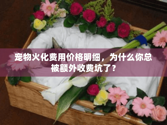 宠物火化费用价格明细,为什么你总被额外收费坑了? 宠物火化费用价格明细,为什么你总被额外收费坑了?