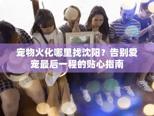 宠物火化哪里找沈阳？告别爱宠最后一程的贴心指南