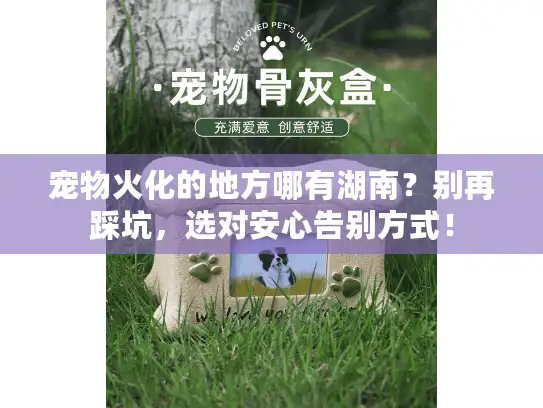 宠物火化的地方哪有湖南？别再踩坑，选对安心告别方式！