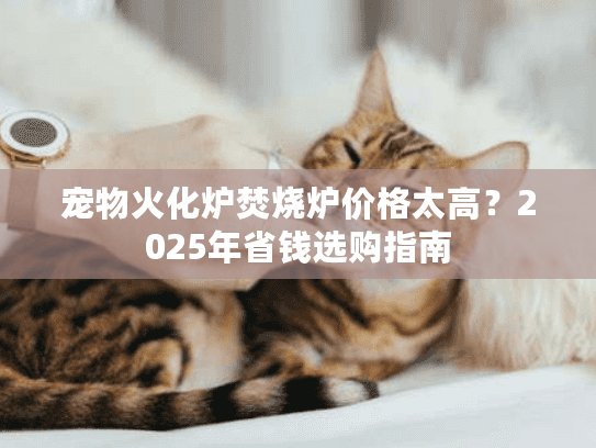宠物火化炉焚烧炉价格太高?2025年省钱选购指南 宠物火化炉焚烧炉价格太高?2025年省钱选购指南