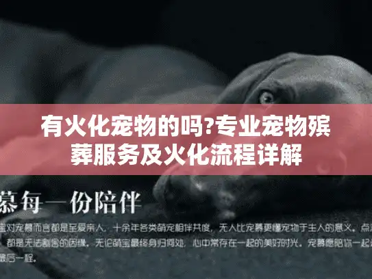 有火化宠物的吗?专业宠物殡葬服务及火化流程详解