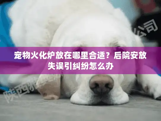 宠物火化炉放在哪里合适？后院安放失误引纠纷怎么办