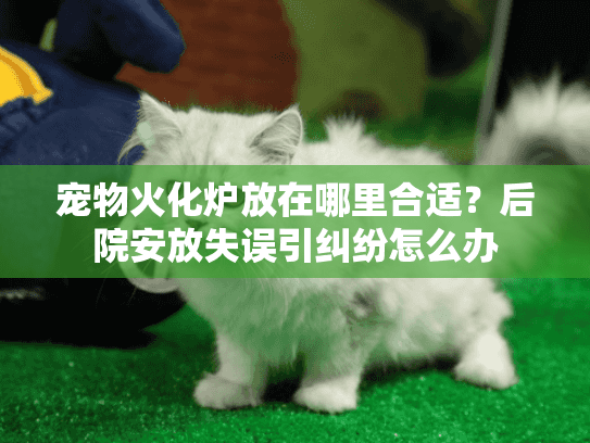 宠物火化炉放在哪里合适？后院安放失误引纠纷怎么办