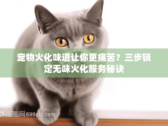 宠物火化味道让你更痛苦？三步锁定无味火化服务秘诀