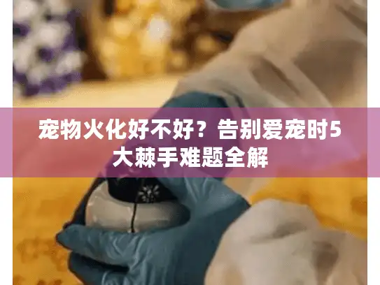 宠物火化好不好？告别爱宠时5大棘手难题全解