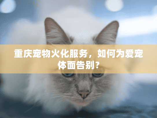 重庆宠物火化服务,如何为爱宠体面告别? 重庆宠物火化服务,如何为爱宠体面告别?
