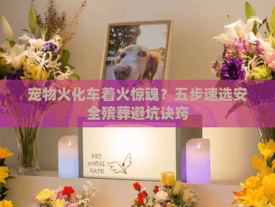 宠物火化车着火惊魂？五步速选安全殡葬避坑诀窍