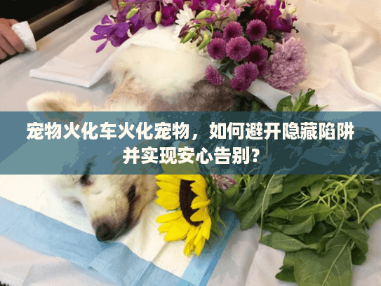 宠物火化车火化宠物，如何避开隐藏陷阱并实现安心告别？