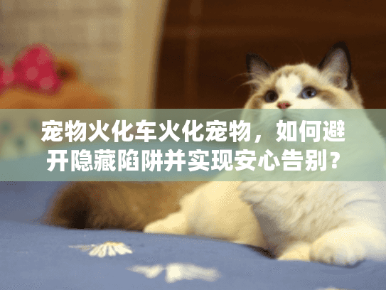 宠物火化车火化宠物，如何避开隐藏陷阱并实现安心告别？