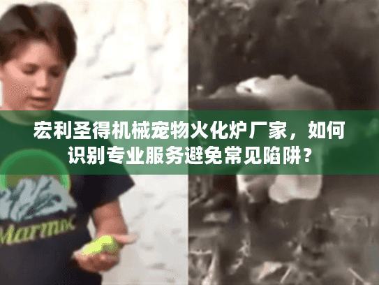 宏利圣得机械宠物火化炉厂家，如何识别专业服务避免常见陷阱？
