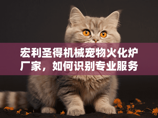 宏利圣得机械宠物火化炉厂家，如何识别专业服务避免常见陷阱？