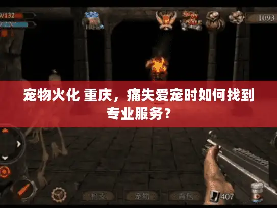 宠物火化 重庆,痛失爱宠时如何找到专业服务? 宠物火化 重庆,痛失爱宠时如何找到专业服务?