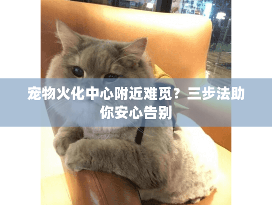 宠物火化中心附近难觅？三步法助你安心告别