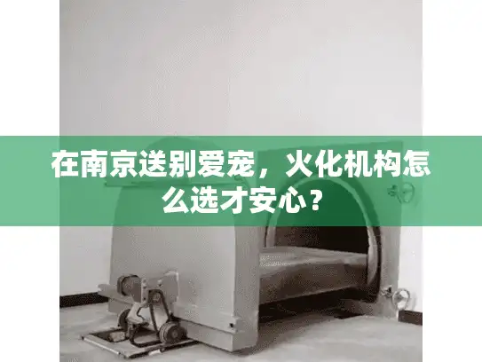 在南京送别爱宠，火化机构怎么选才安心？