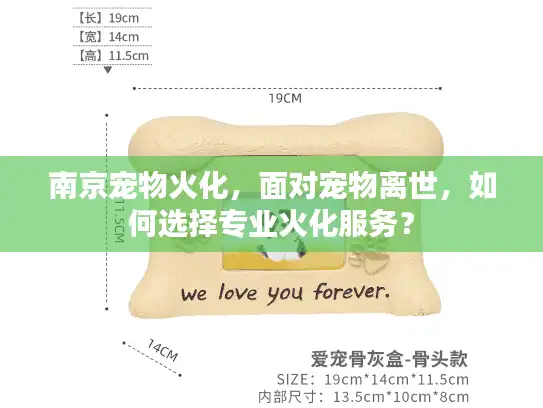 南京宠物火化，面对宠物离世，如何选择专业火化服务？