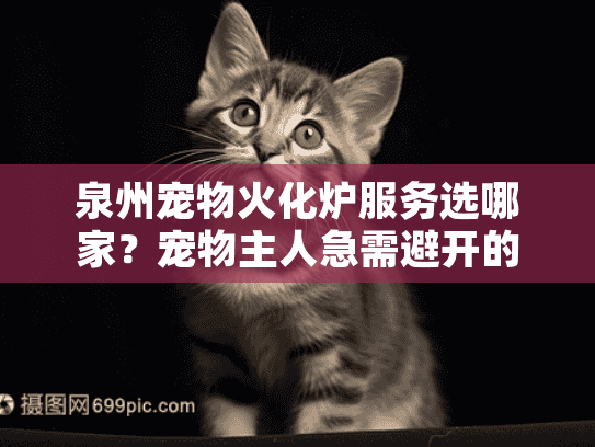 泉州宠物火化炉服务选哪家？宠物主人急需避开的三大雷区