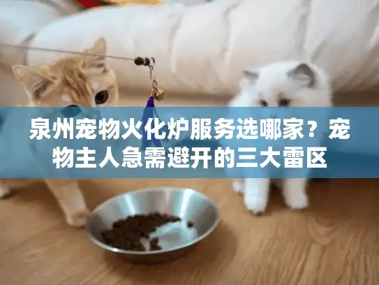 泉州宠物火化炉服务选哪家？宠物主人急需避开的三大雷区