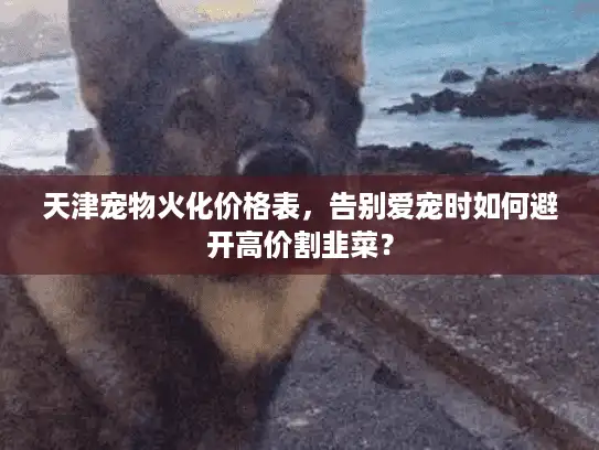 天津宠物火化价格表,告别爱宠时如何避开高价割韭菜? 天津宠物火化价格表,告别爱宠时如何避开高价割韭菜?